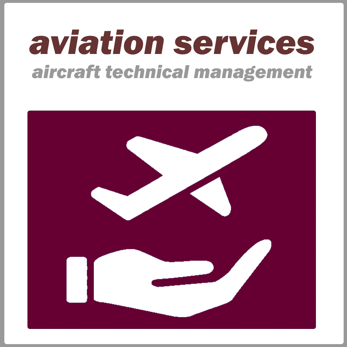 aviation services